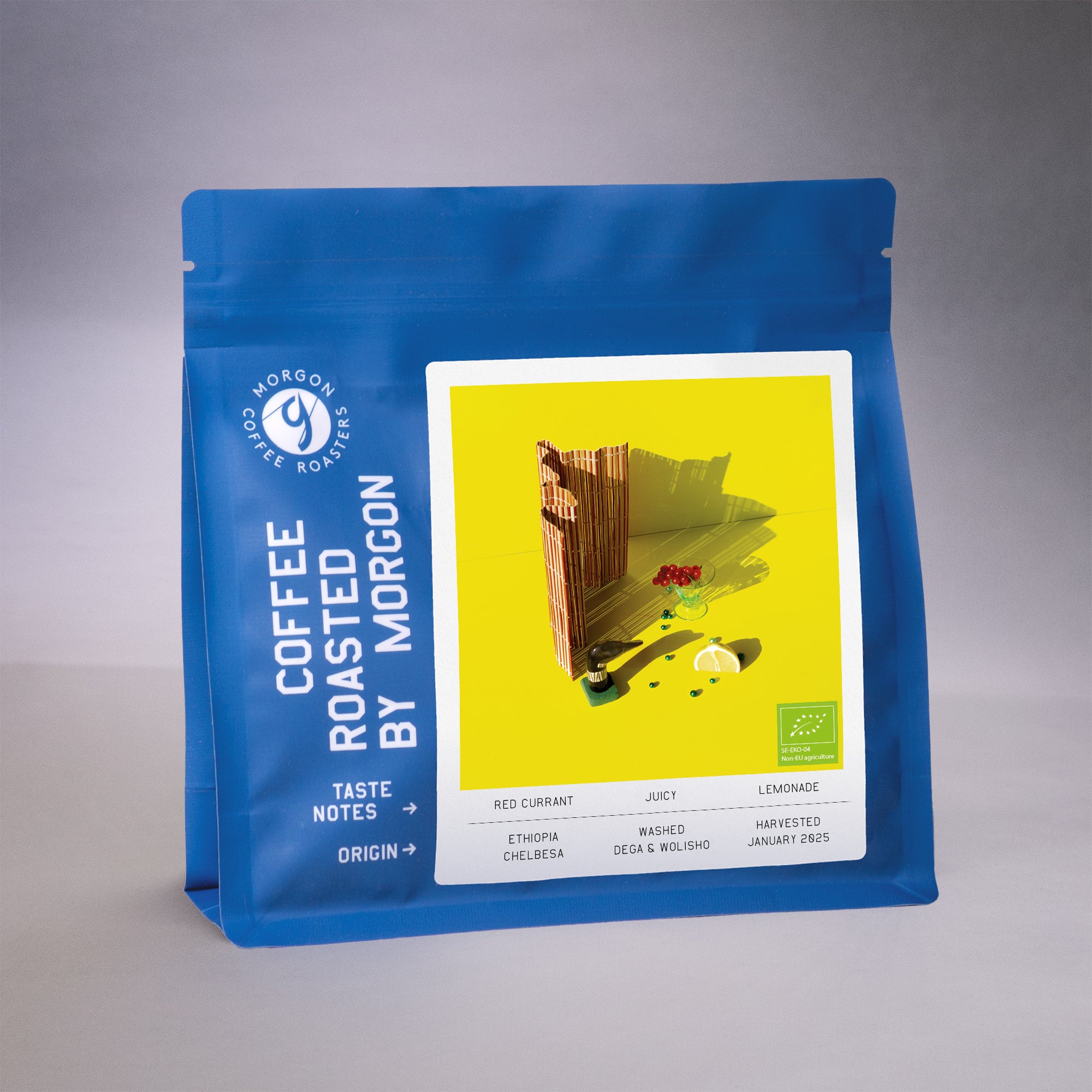 Chelbesa - Ethiopia, Gedeb