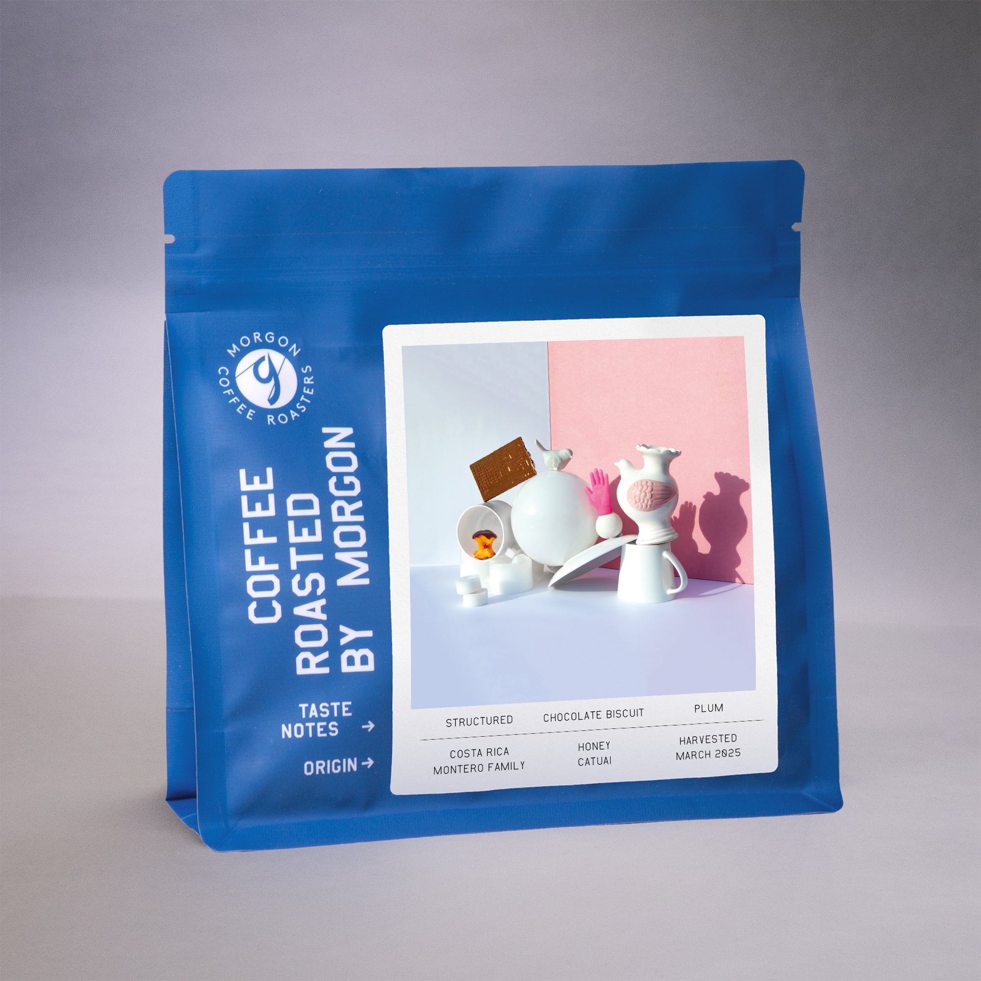 Montero Family - Costa Rica, Tarrazu