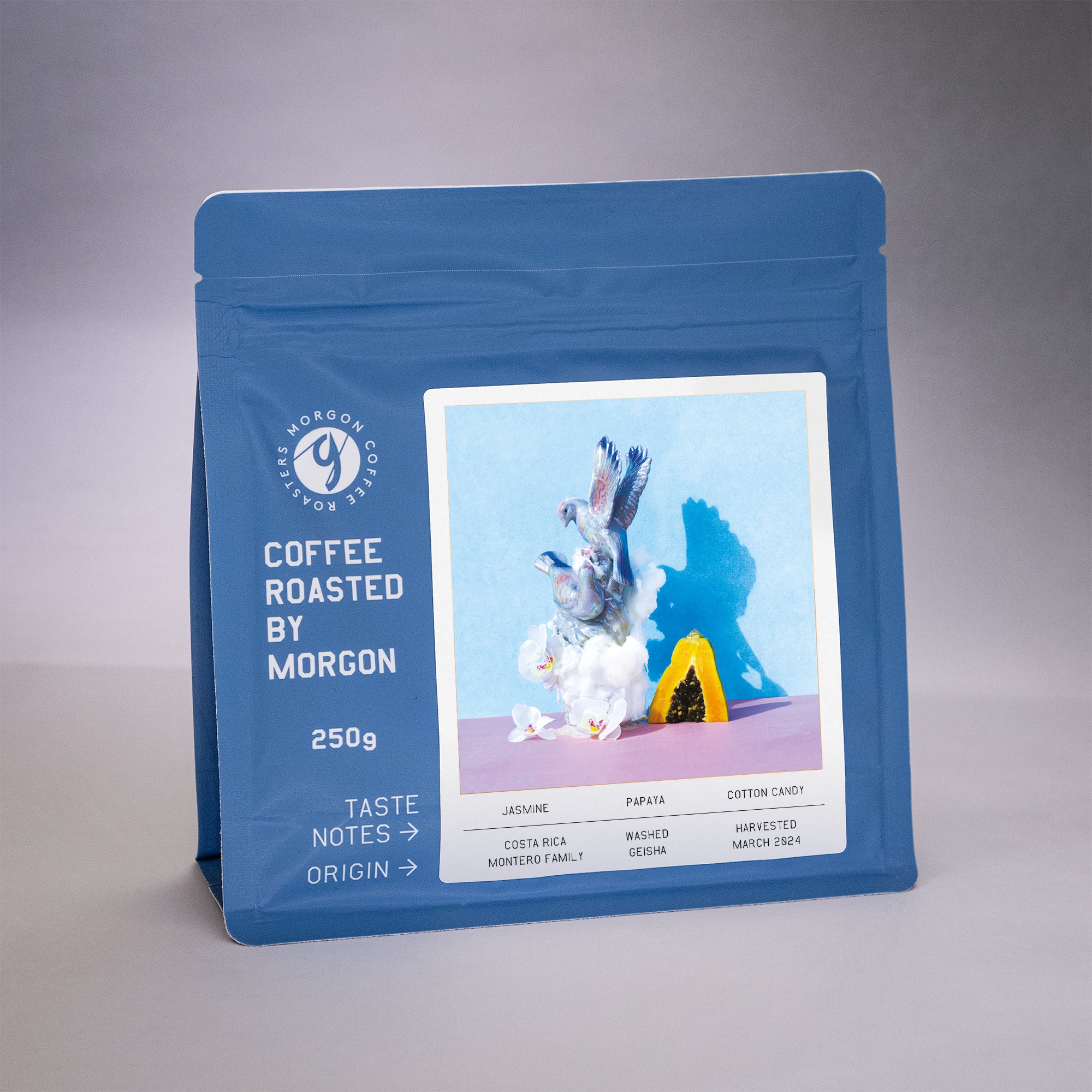 Montero Family, Washed Geisha - Costa Rica, Tarrazu