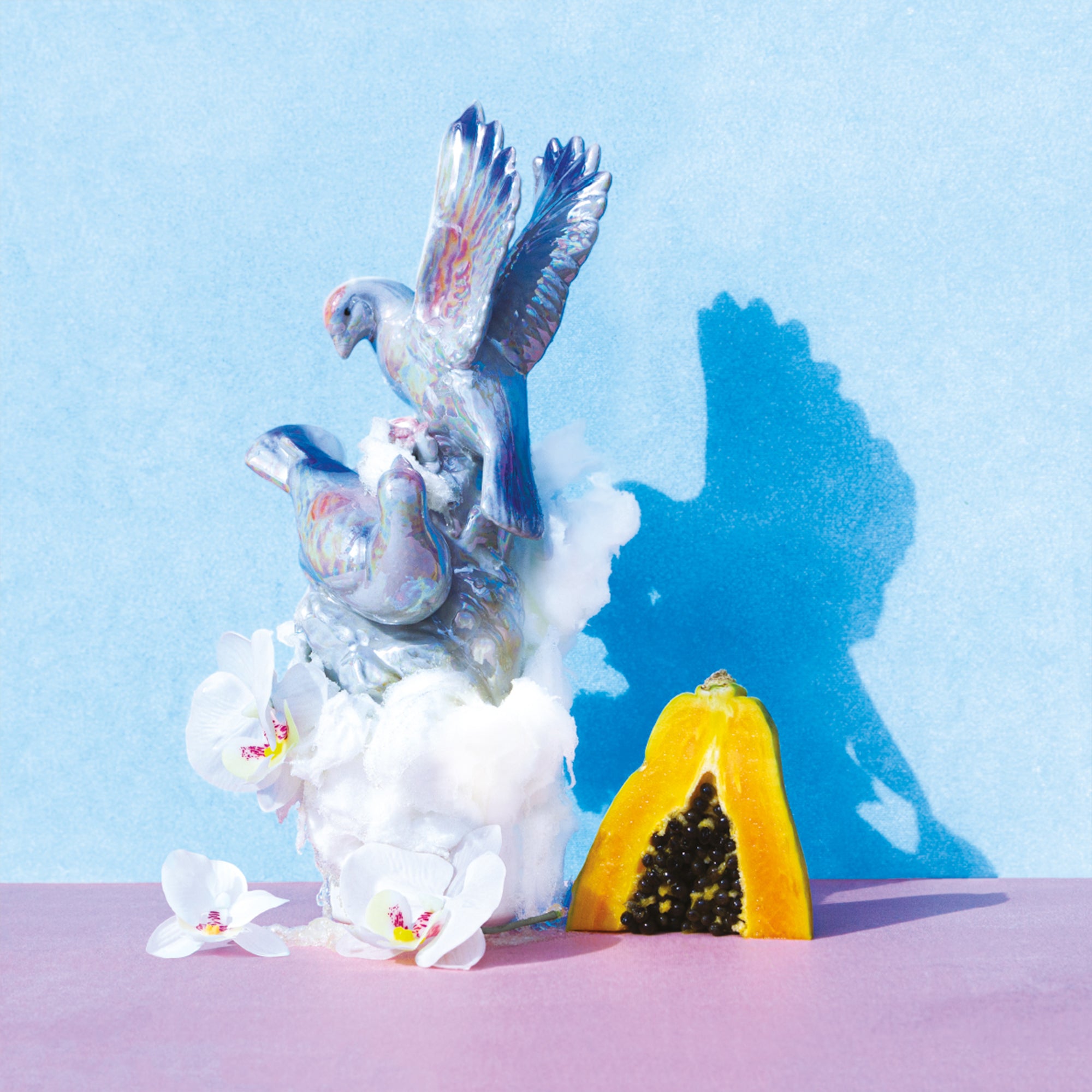 Montero Family, Washed Geisha - Costa Rica, Tarrazu