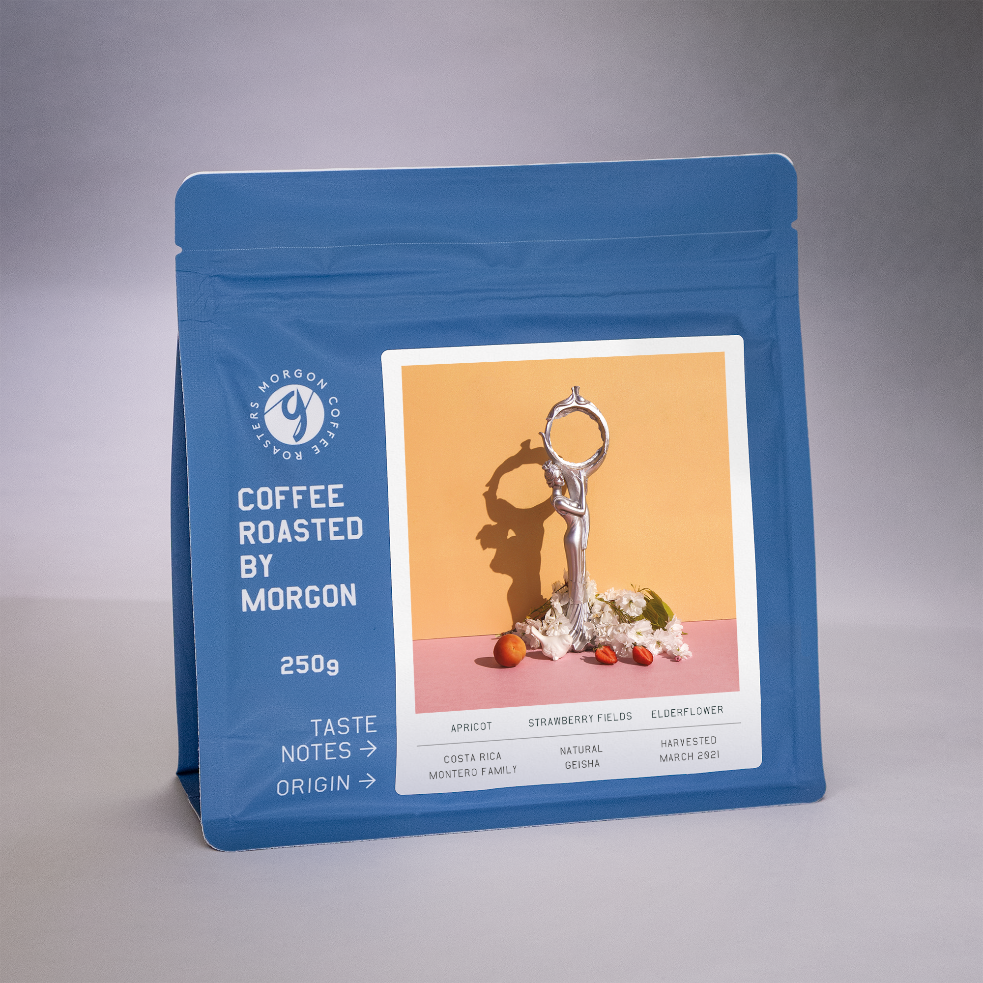 Montero Family Natural Geisha - Costa Rica, Tarrazu - Morgon Coffee Roasters