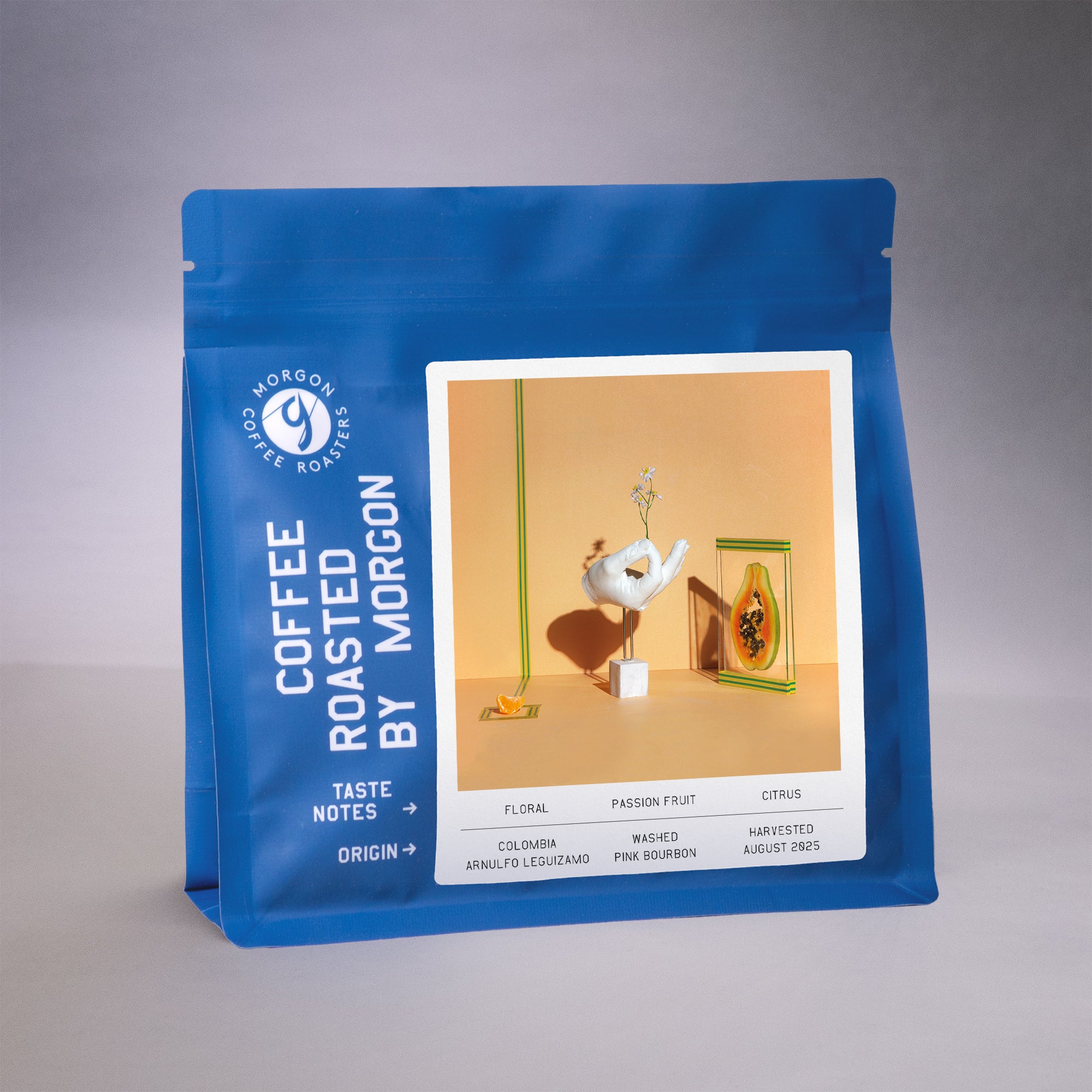 Arnulfo Leguizamo - Colombia, San Augustin