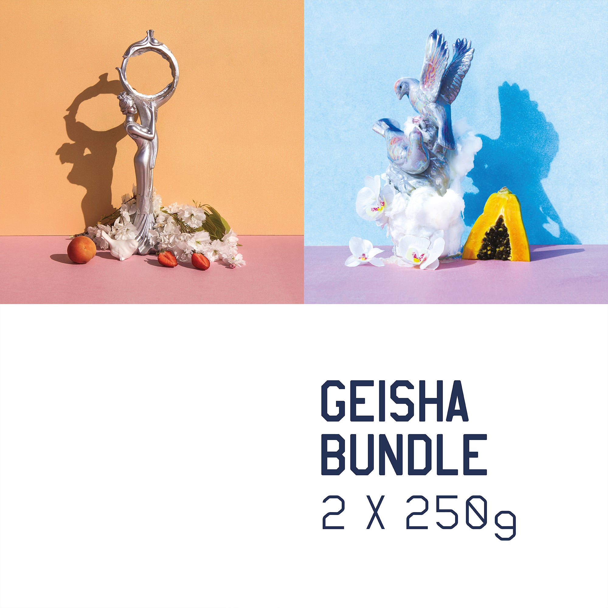 Montero Family Geisha Bundle